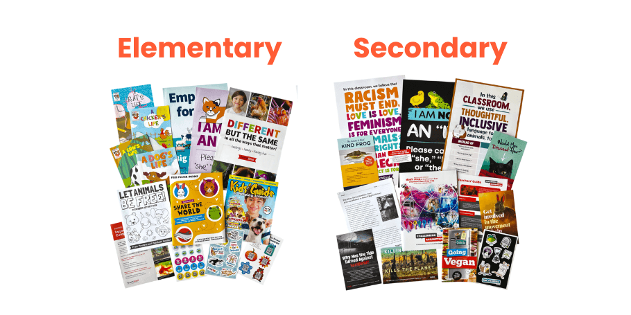 free materials for elementary and secondary students