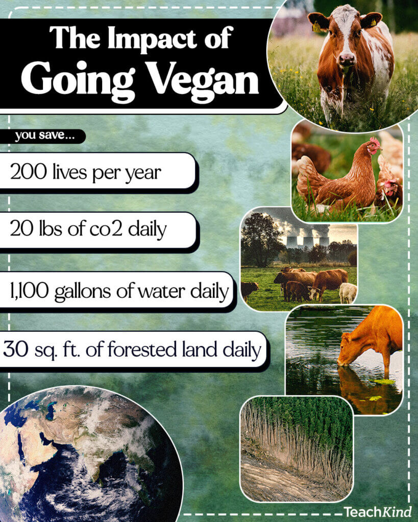 The impact of going vegan you save... 200 lives per year, 20 lbs of co2 daily, 1100 gallons of water daily, 30 sq. ft of forested land daily