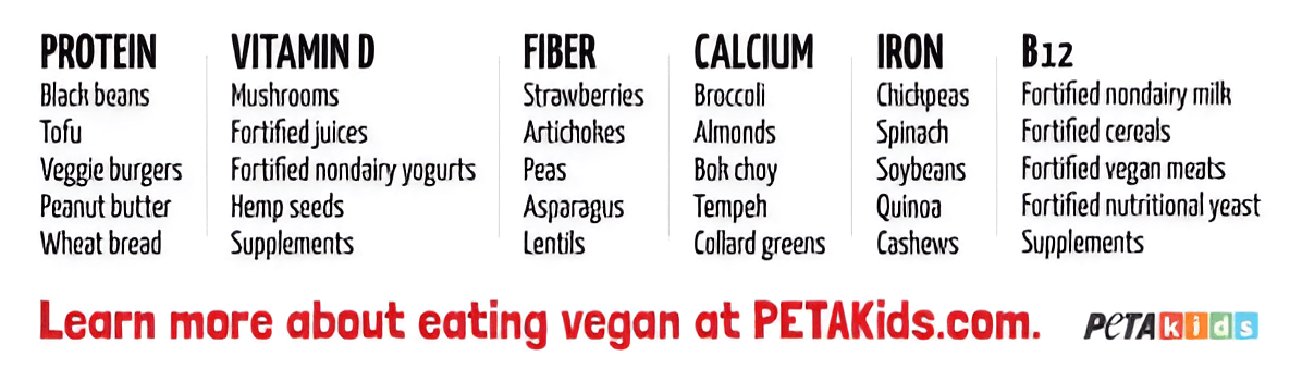 vegan nutrition sources: protein, vitamin D, fiber, calcium, iron, B12