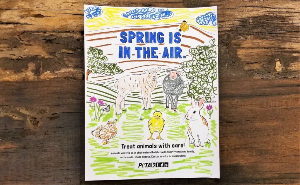 Coloring sheet: spring is in the air - treat animals with care!