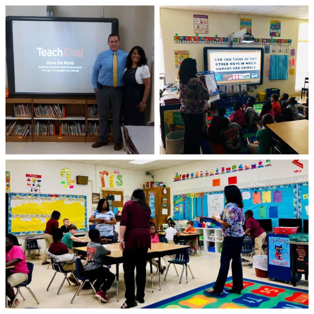 Photo collage of a TeachKind staffer presenting to several classes
