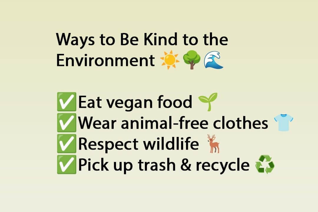 Ways to be kind to the environment