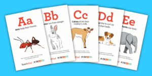 Image of alphabet flashcards