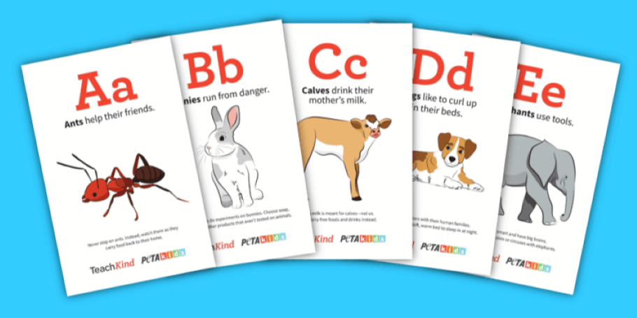 Image of alphabet flashcards