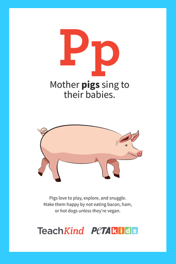 Image of alphabet flashcards