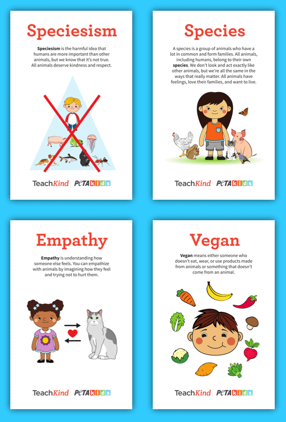 Image of alphabet flashcards