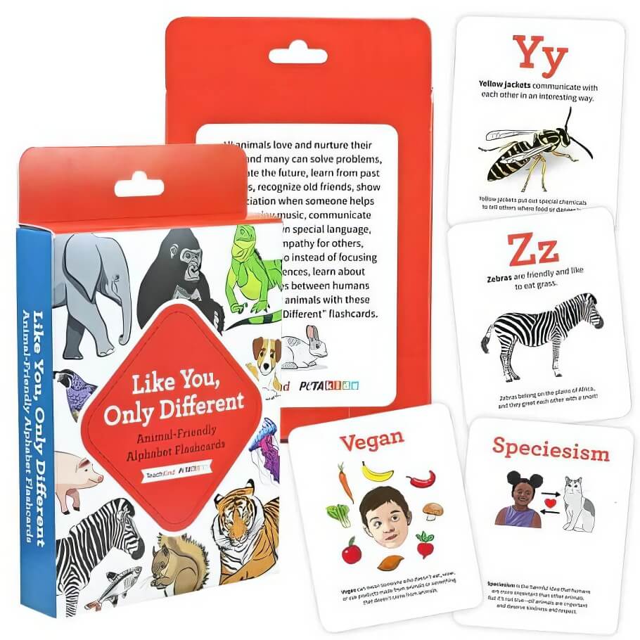 Like You, Only Different flashcards