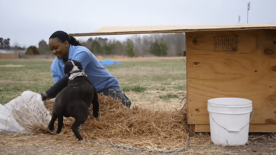 PETA fieldworker adding straw after delivering a new doghouse to a dog in need.