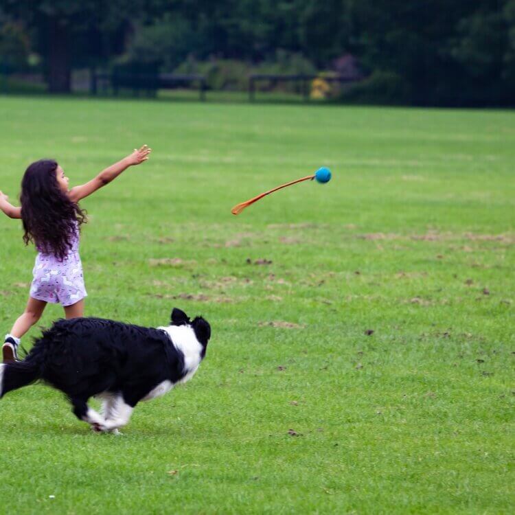 A young girl throws a toy to her dog as they play together outside