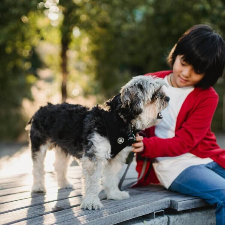 child sitting on a bench with a dog outside