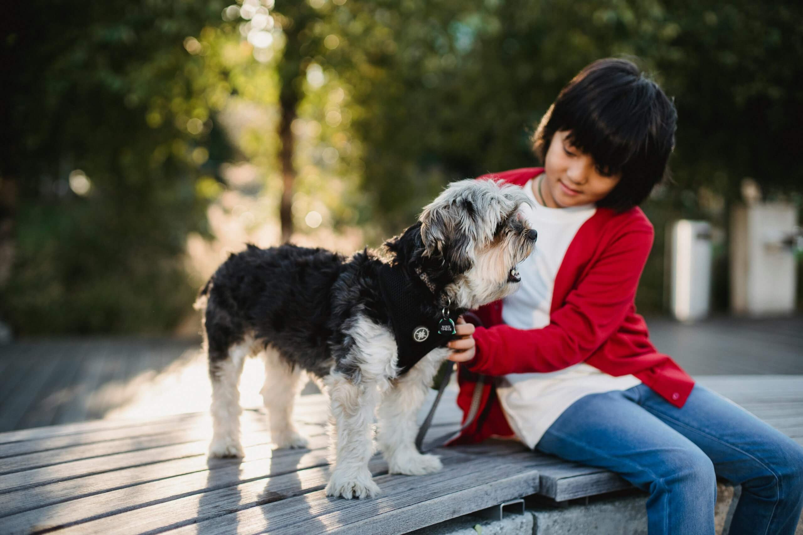child sitting on a bench with a dog outside
