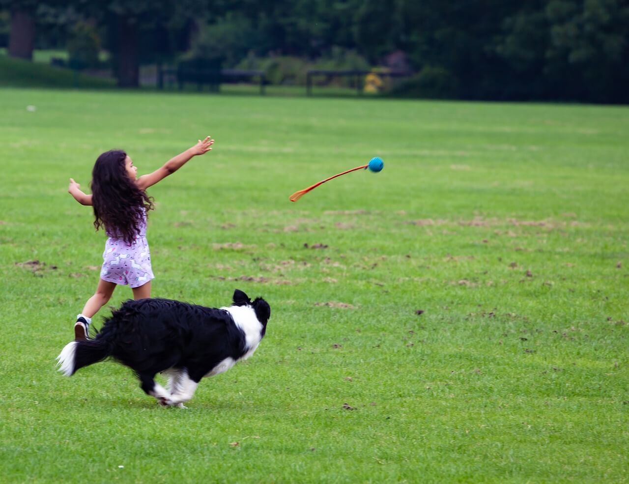 A young girl throws a toy to her dog as they play together outside