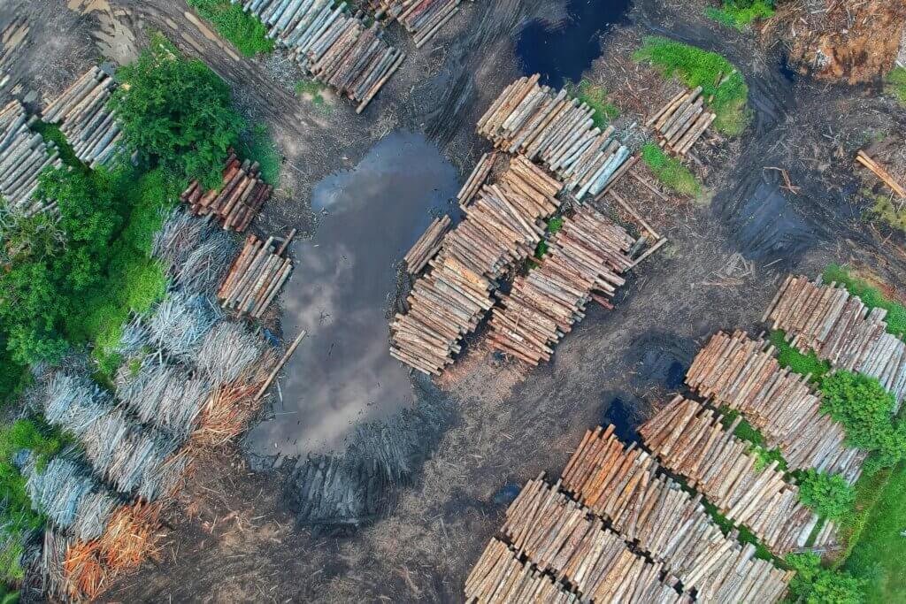 Bird's Eye View of Woodpile - deforestation