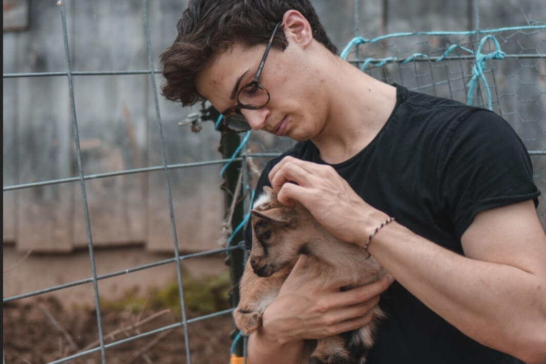 A young person holding a small brown goat, gently rubbing their head.
