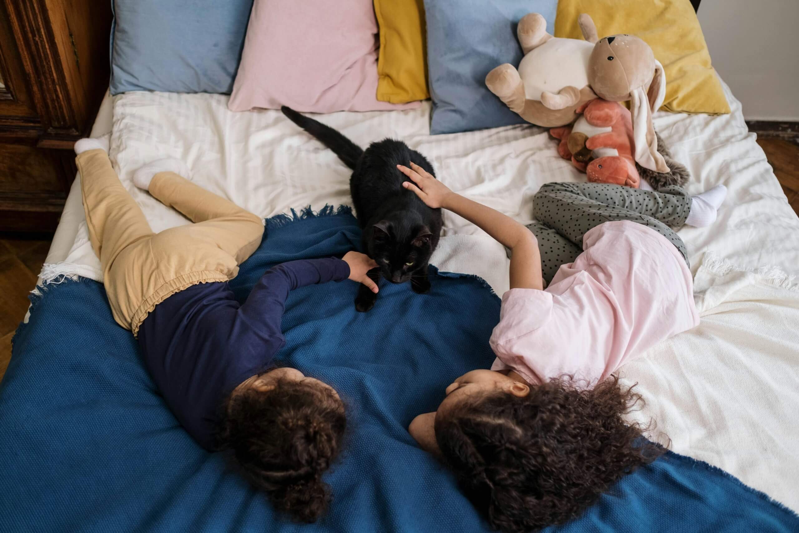 kids petting a cat on their bed