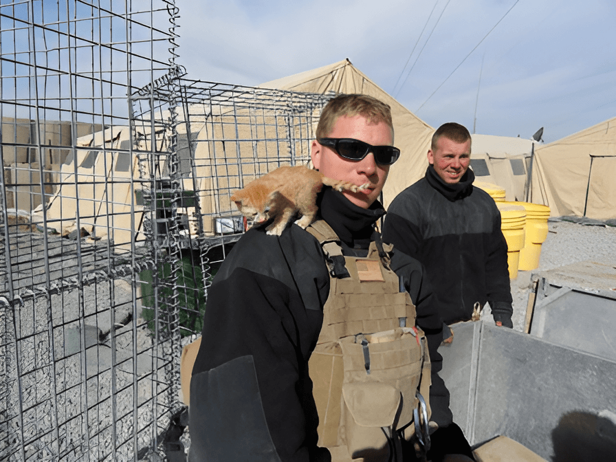 Two Marines in Afghanistan save kittens