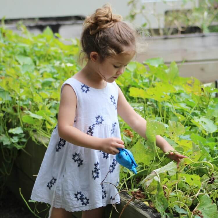 A girl in a garden standing beside a raised bed, observing the plants.