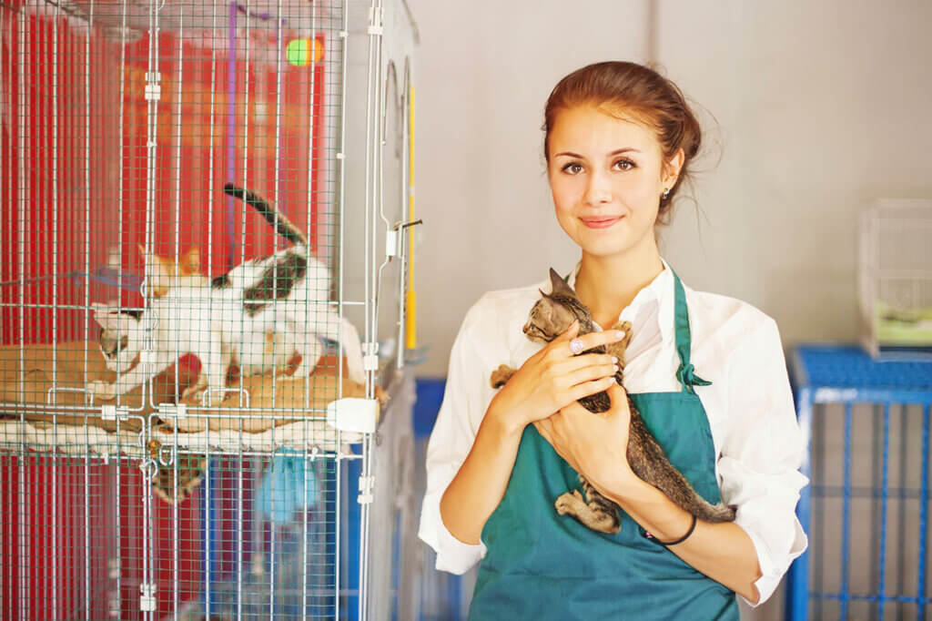 Woman helping cats at an animal shelter