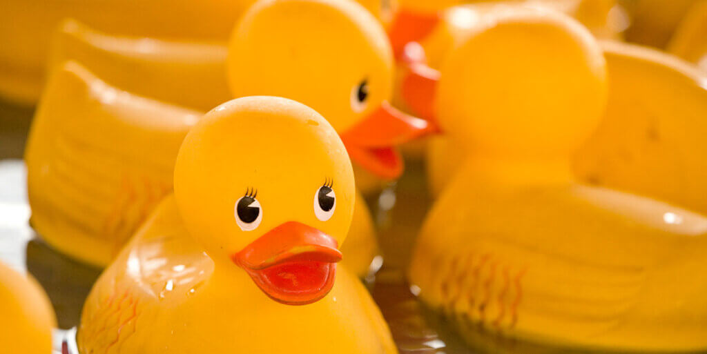 Rubber ducks