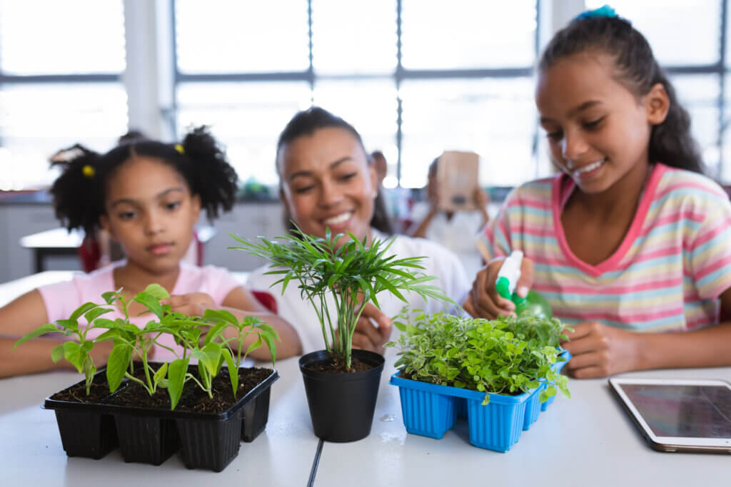 Students and teacher growing herbs