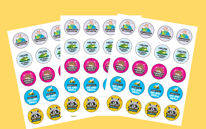 3 sheets of TeachKind reward stickers on a yellow background