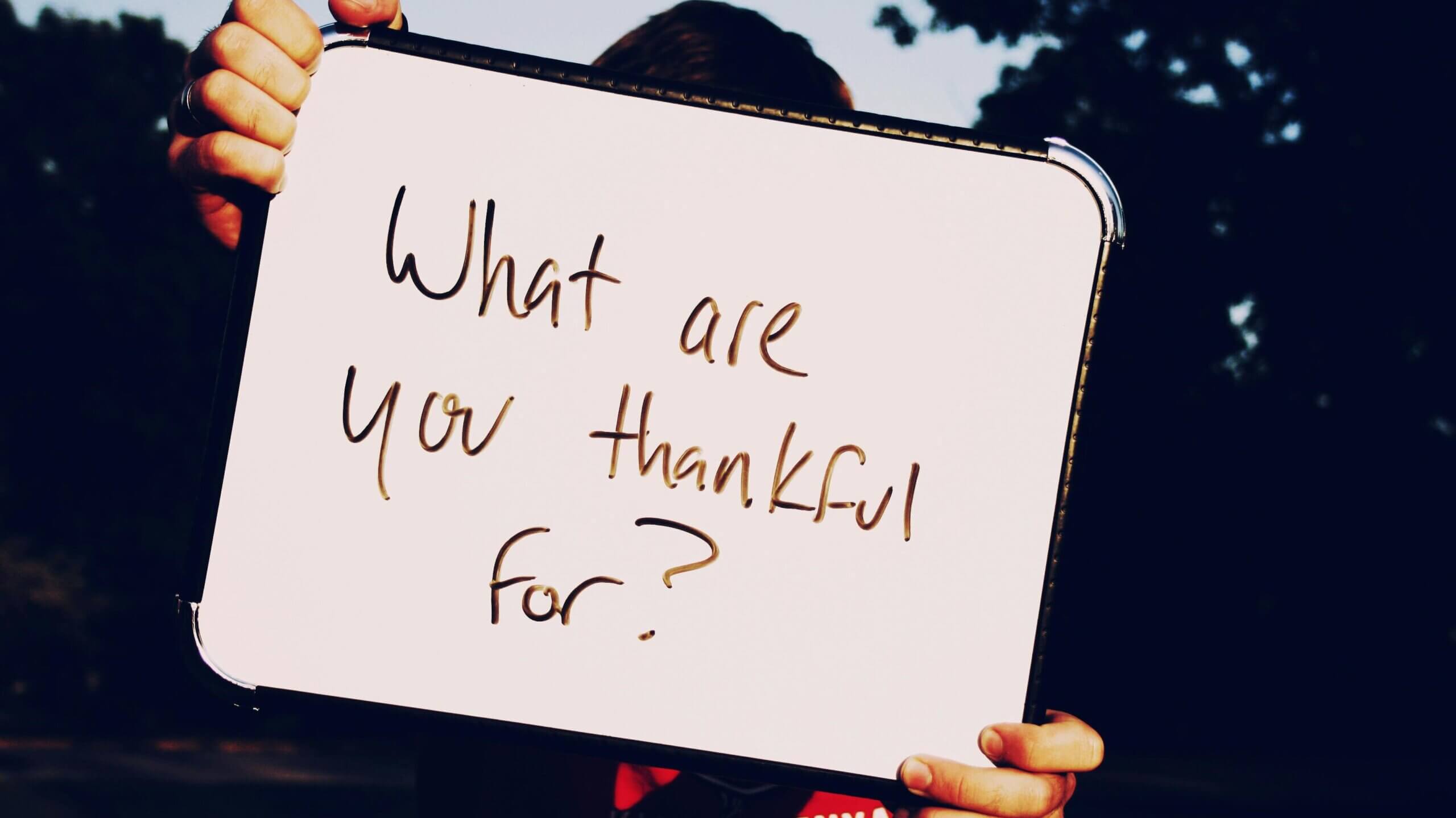 whiteboard - what are you thankful for?