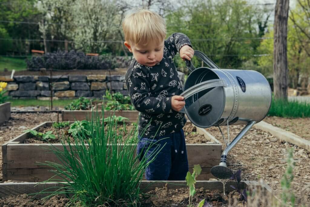 Small child watering plants in a garden