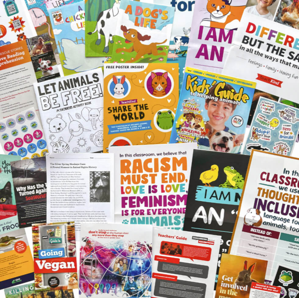 Collage of primary and secondary free materials