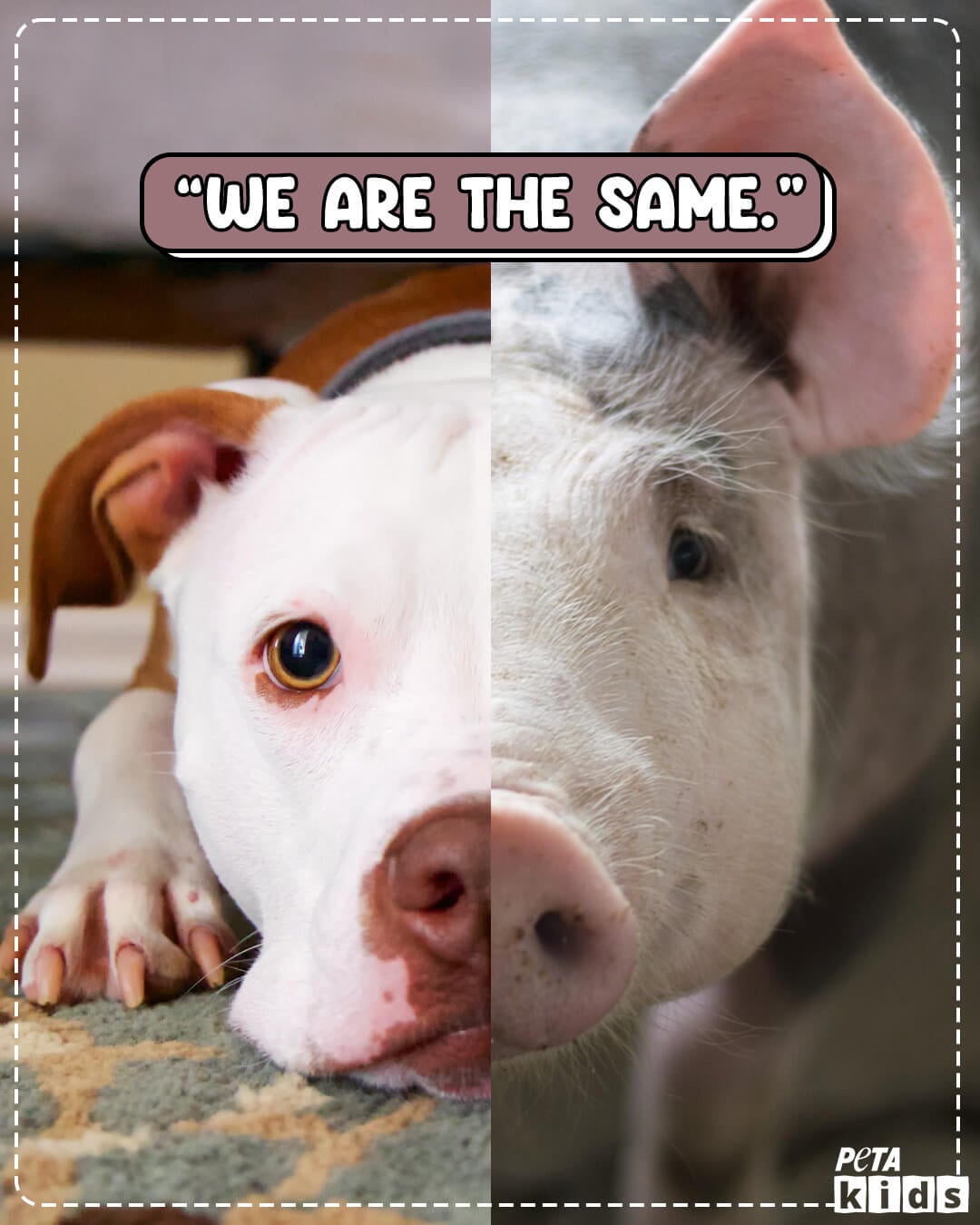 "We are the same" dog and pig