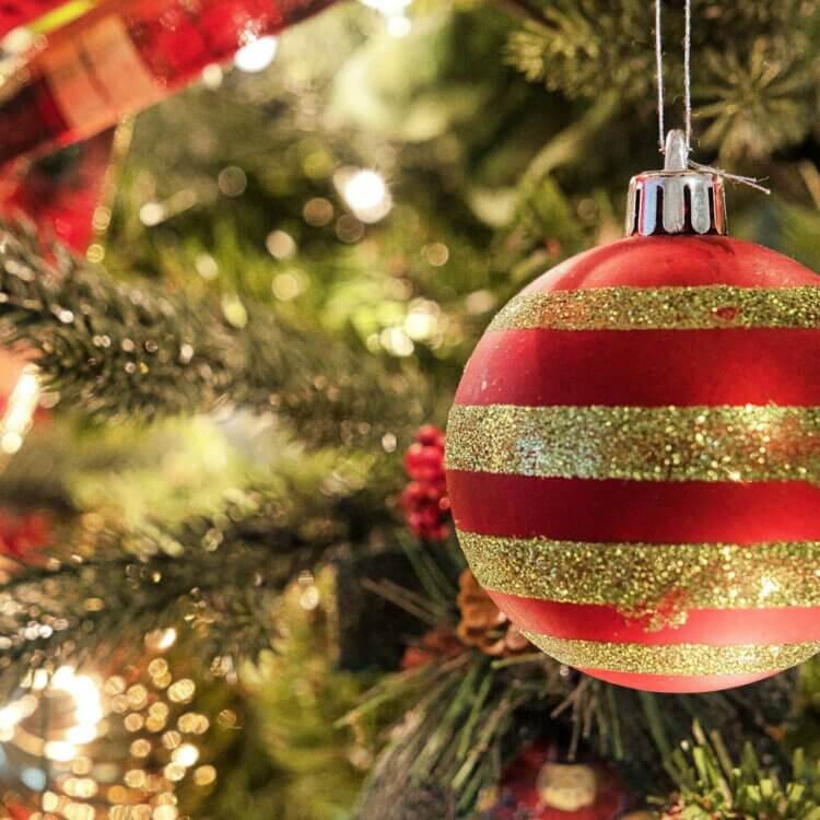 Holiday ornament on tree