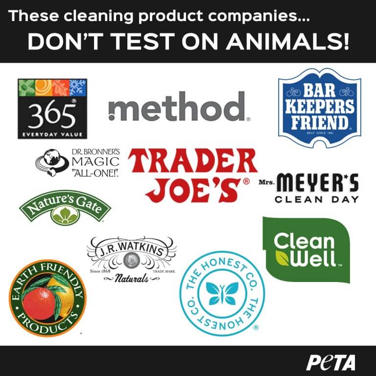 These cleaning product companies don't test on animals.