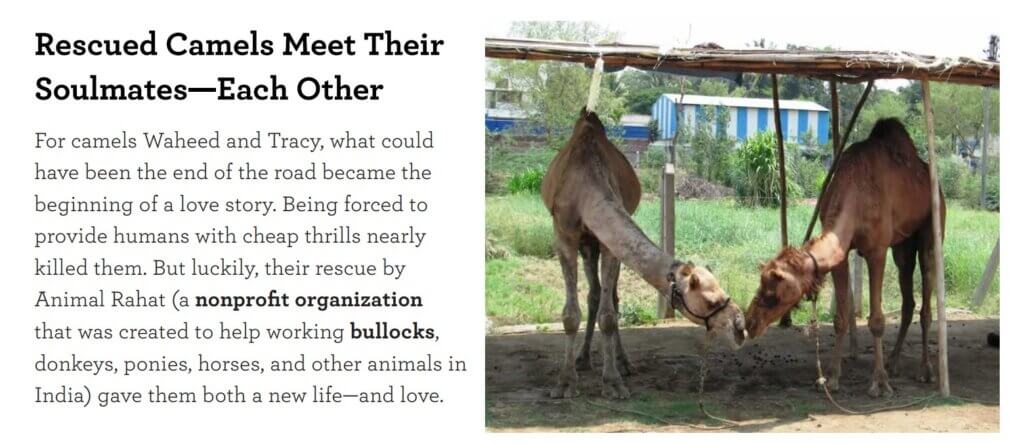 Waheed and Tracy Love Each Other