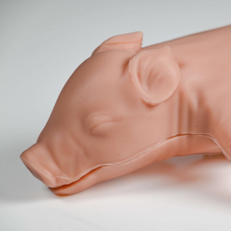 kind piglet product photo
