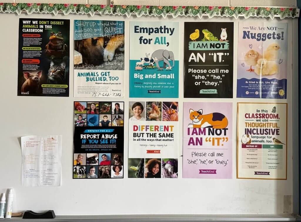 A-list teacher, Mike Tori, classroom bulletin board