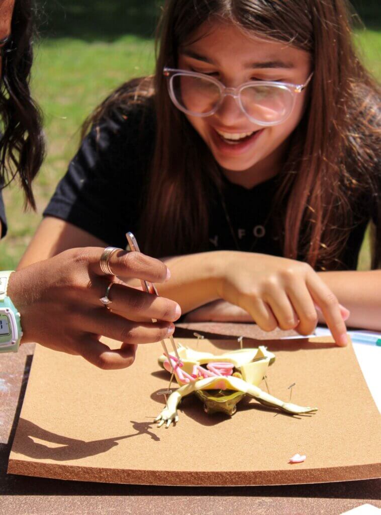 Female student smiling while dissecting Kind Frog