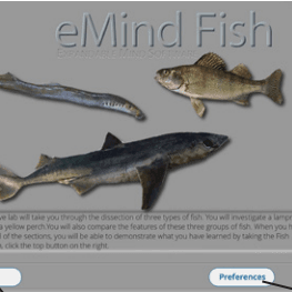 eMind fish dissection